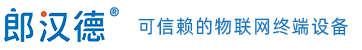 大游集团LonHand - 可信赖的物联网终端设备